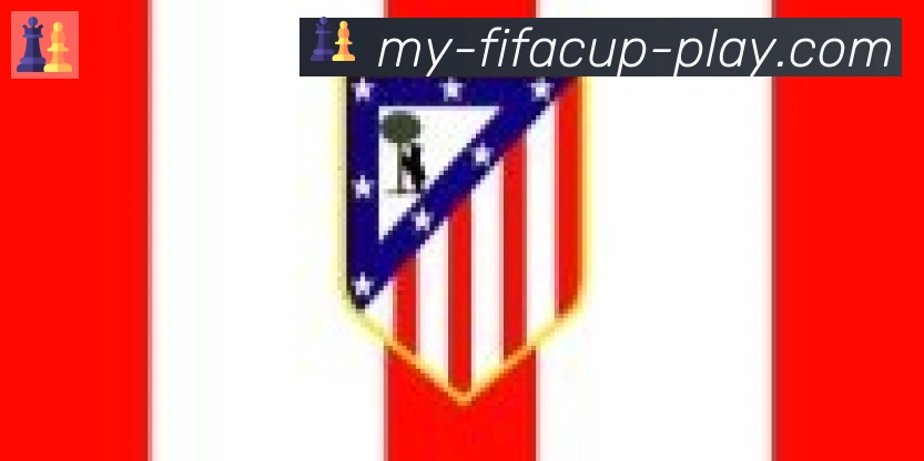 FIFA世界杯赛事官方网站合作伙伴