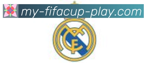 FIFA世界杯赛事官方网站合作伙伴
